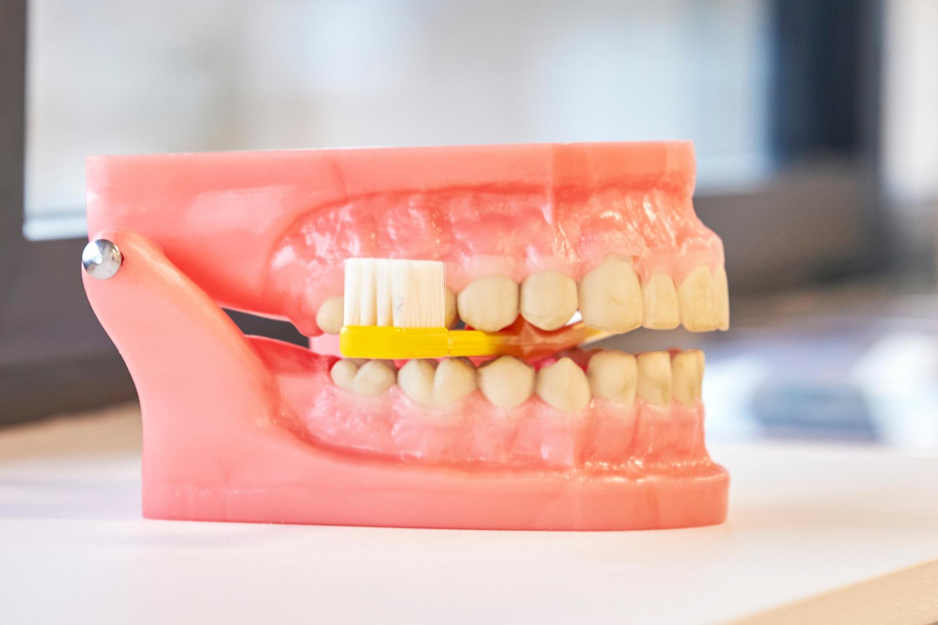 Formation d'Assistant Dentaire à Dunkerque