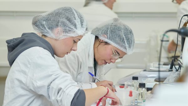 Taux de réussite aux examens 2026 : le verdict est tombé !
