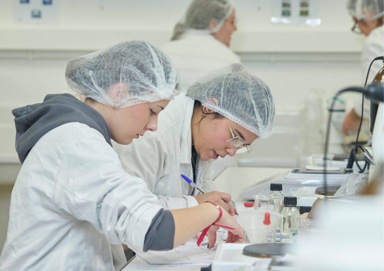 Taux de réussite aux examens 2026 : le verdict est tombé !
